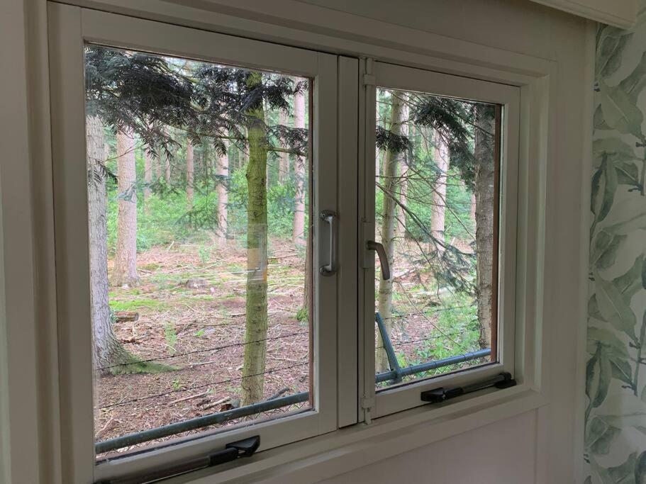 Op Boszicht Genieten Van De Rust & Natuur Putten Ngoại thất bức ảnh