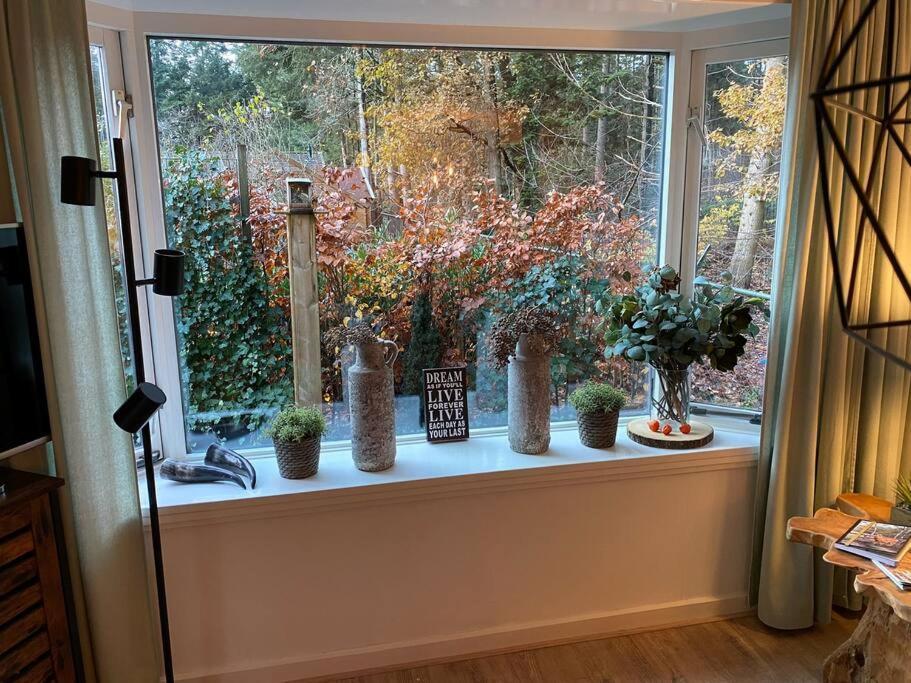 Op Boszicht Genieten Van De Rust & Natuur Putten Ngoại thất bức ảnh