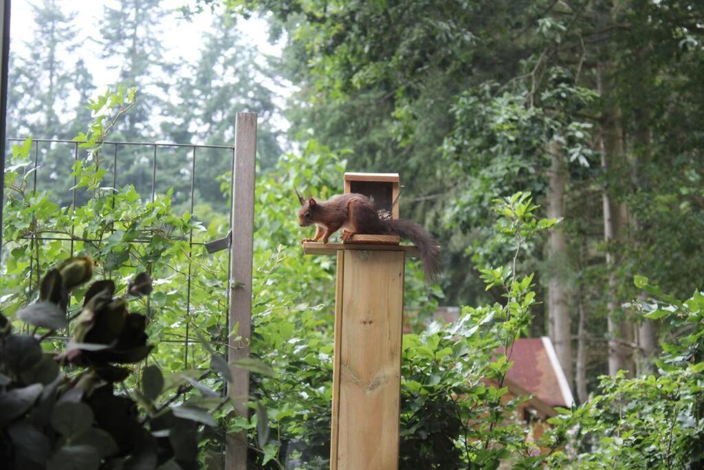 Op Boszicht Genieten Van De Rust & Natuur Putten Ngoại thất bức ảnh